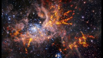 سديم البدوي: التجوال في المشهد الكوني بحثا عن الكواكب