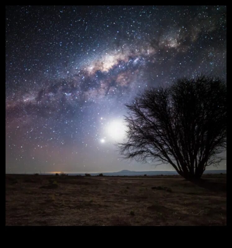 مشهد النجوم: الأعجوبة والعجائب عبر المناظر الطبيعية المجرة