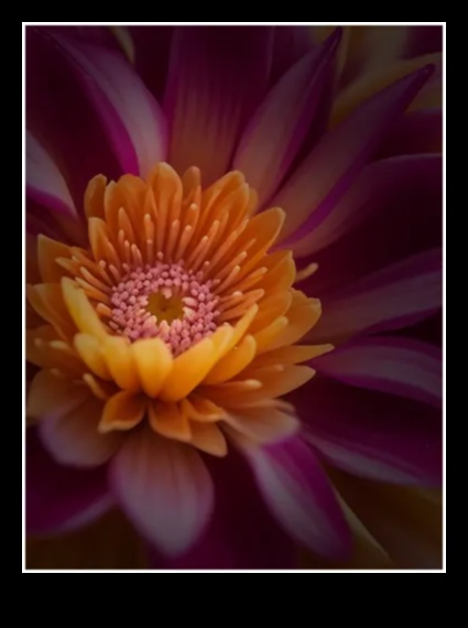 ضوء الشمس المنحوت: تحديد الشكل والظلال باستخدام أنماط التصوير الفوتوغرافي الكلي