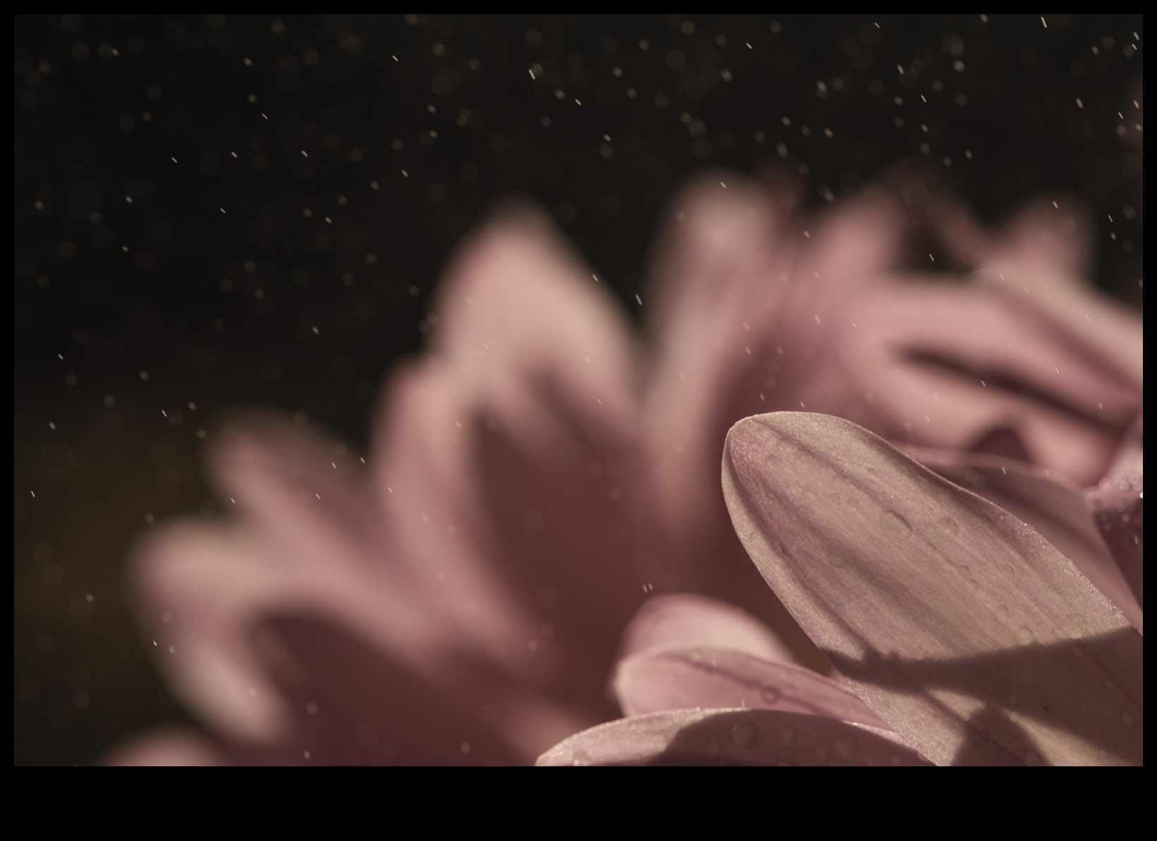 ضوء الشمس المنحوت: تحديد الشكل والظلال باستخدام أنماط التصوير الفوتوغرافي الكلي