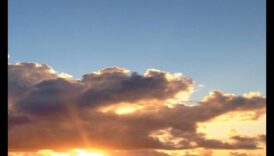 أفراد العائلة الصحية تفسير لخوض زيارة الزفاف 5 العلاقات الصحية: التنقل في رحلة الزواج