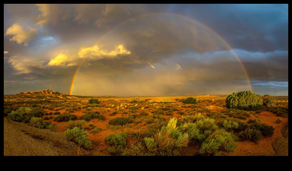 Snapshot Savvy: نصائح أساسية للتصوير الفوتوغرافي المذهل