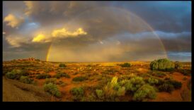 Snapshot Savvy: نصائح أساسية للتصوير الفوتوغرافي المذهل