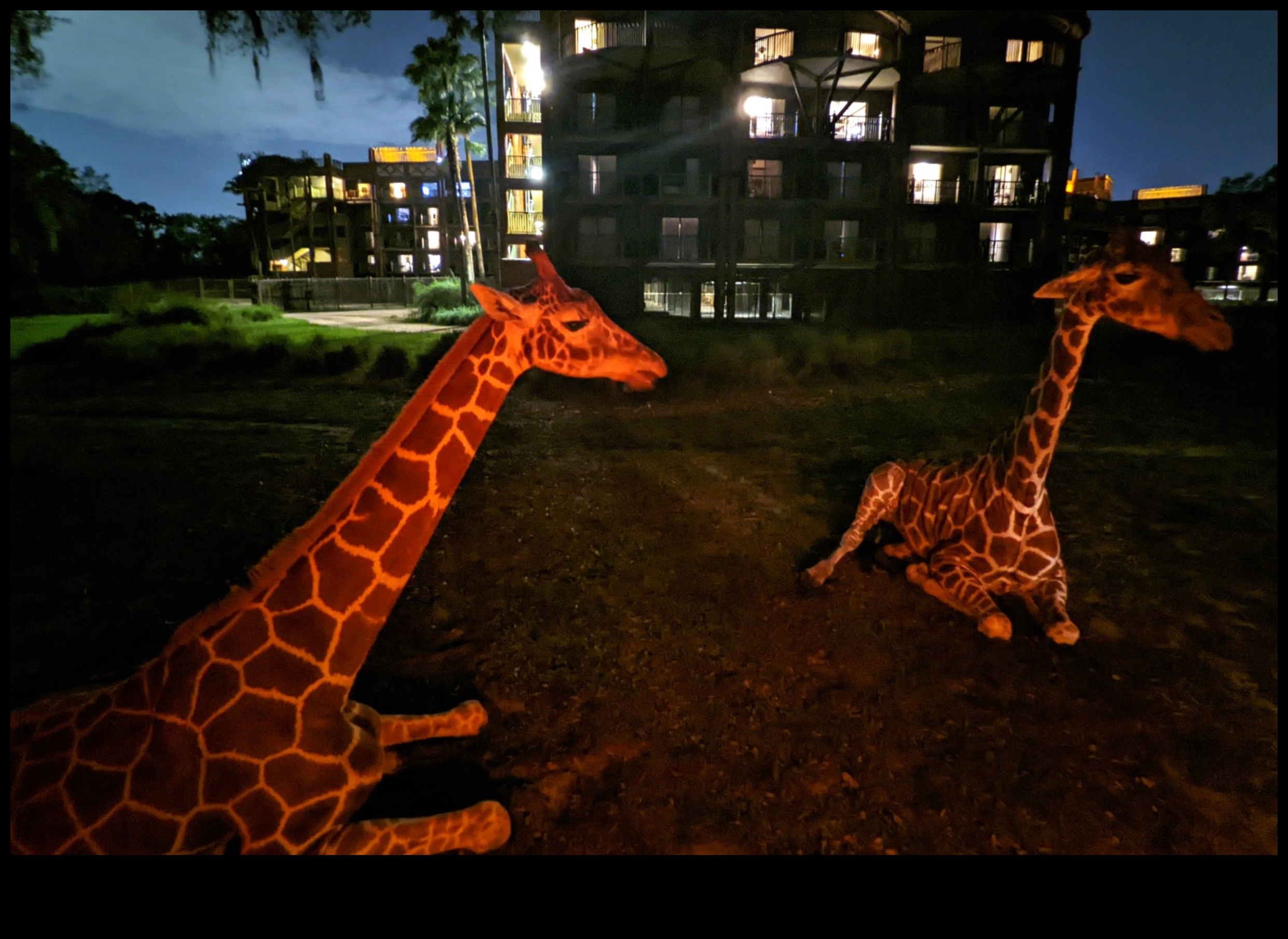 سفاري مضاء بالنجوم: رحلة استكشافية إلى برية النجوم المذهلة 2 سفاري مضاء بالنجوم: رحلة استكشافية إلى برية النجوم المذهلة