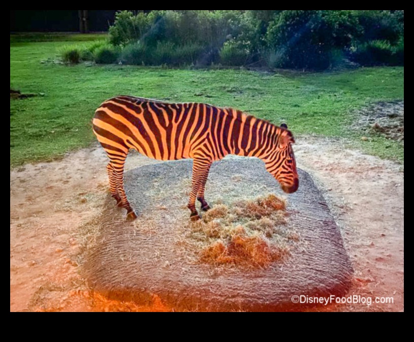 سفاري مضاء بالنجوم: رحلة استكشافية إلى برية النجوم المذهلة