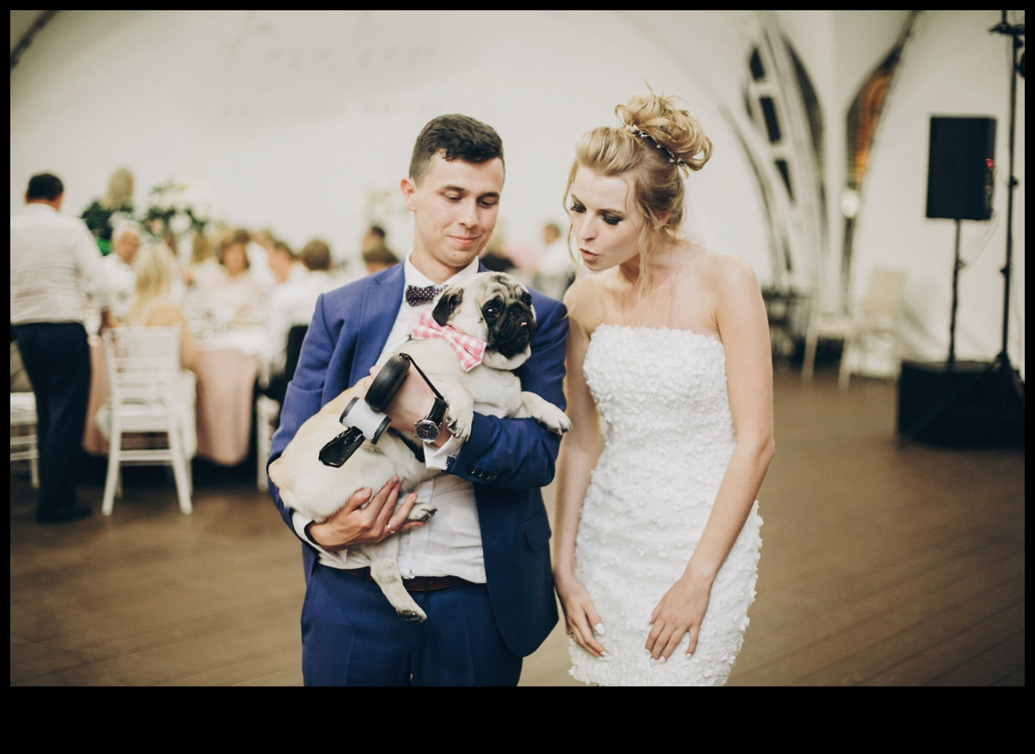 الزواج بأموال ذكية: أناقة بأسعار معقولة