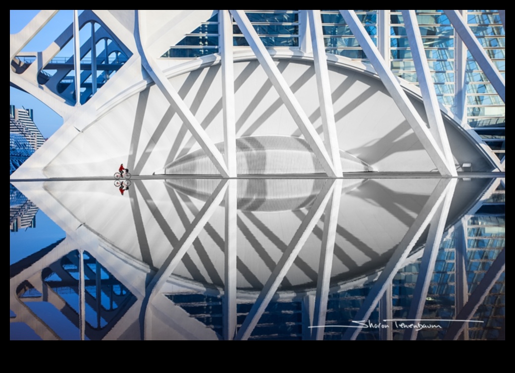 التماثل والأفق: فن التصوير المعماري