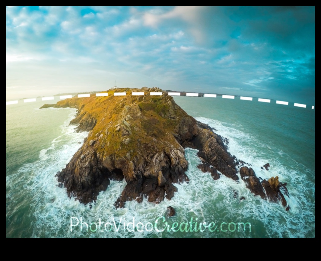 جنون عين السمكة: إتقان فن المنظور المشوه