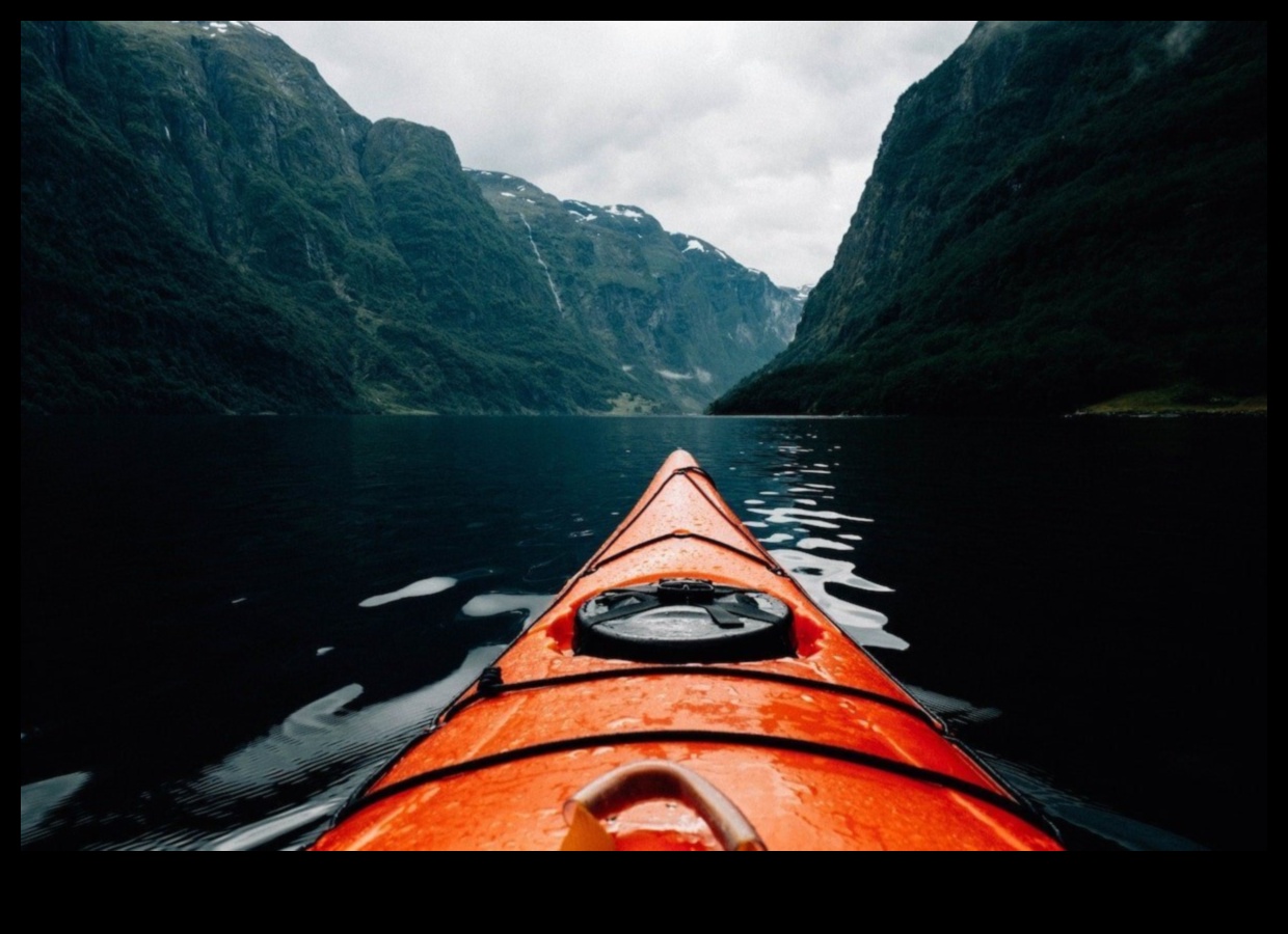 إتقان التأطير: نصائح احترافية لتكوين صور مقنعة