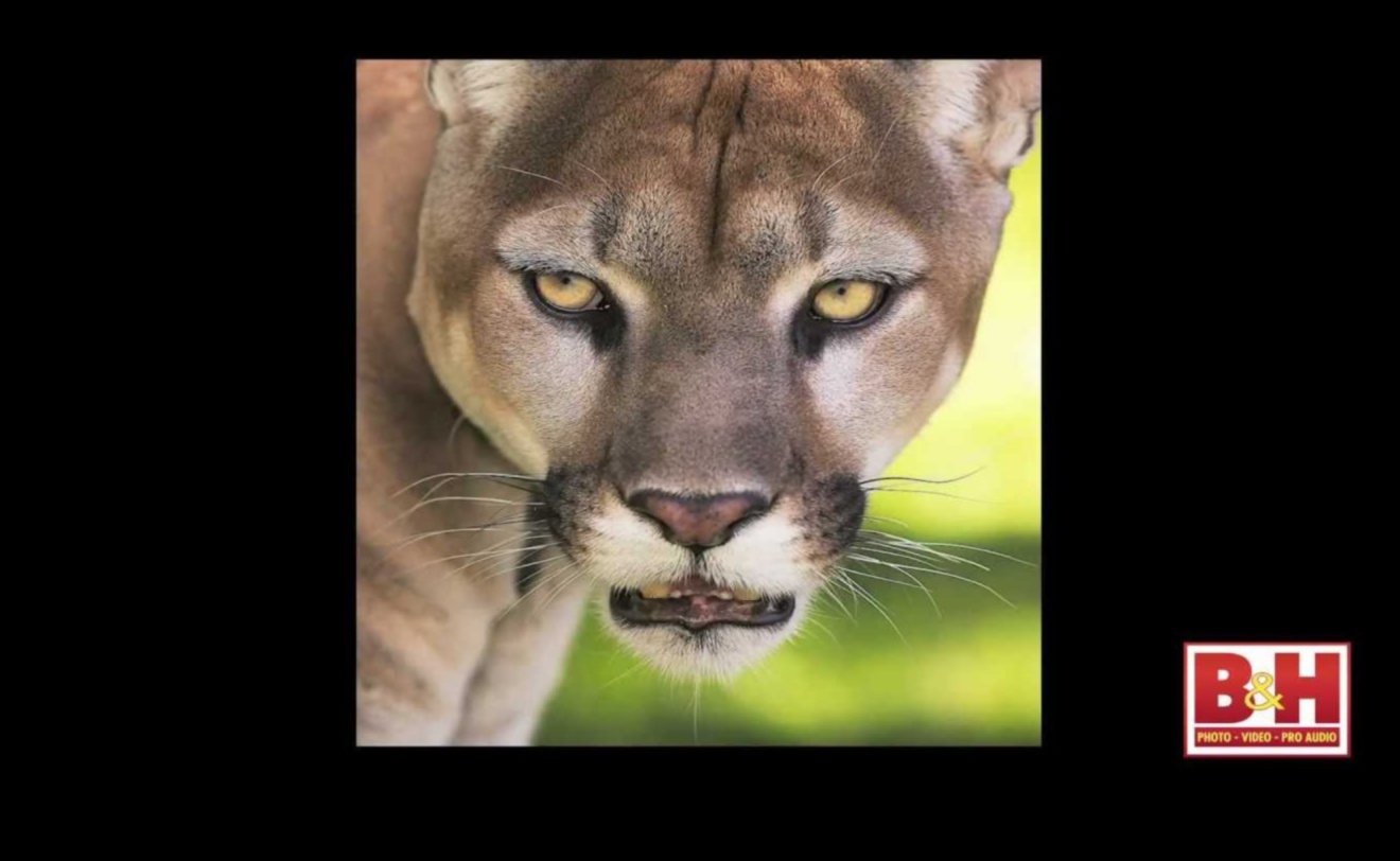 الرواد يشاركون حكاياتهم فن التصوير الفوتوغرافي أثناء السفر 4 حكايات رائدة: صياغة القصص من خلال التصوير الفوتوغرافي أثناء السفر