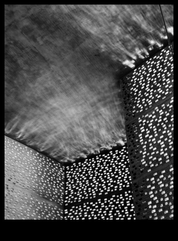 الخطوط والتألق: تألق التصوير المعماري