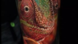 المعايير والفراء فن الوشم الحيواني 1 المقاييس والفراء: الكشف عن فن الوشم الحيواني