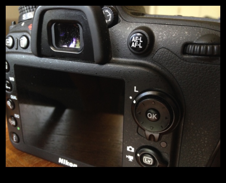 التعرض الرقمي يفتح قوة الكاميرا 5 التعرض الرقمي: إطلاق العنان للإمكانات في التصوير الفوتوغرافي